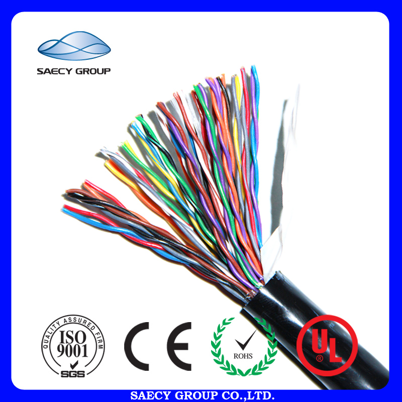 UTP-Cat5e  25P  PE